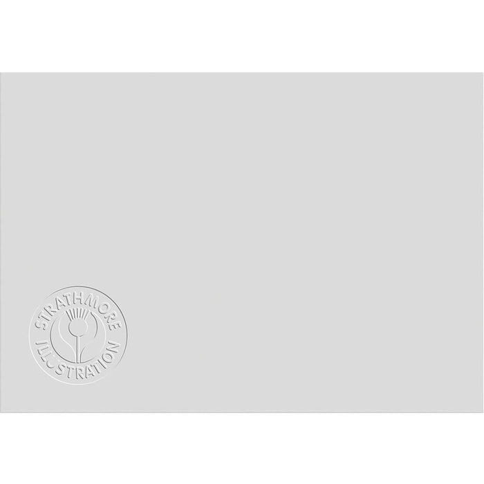 Series 500 Illustration Board Heavyweight Vellum Medium 20in x 30in