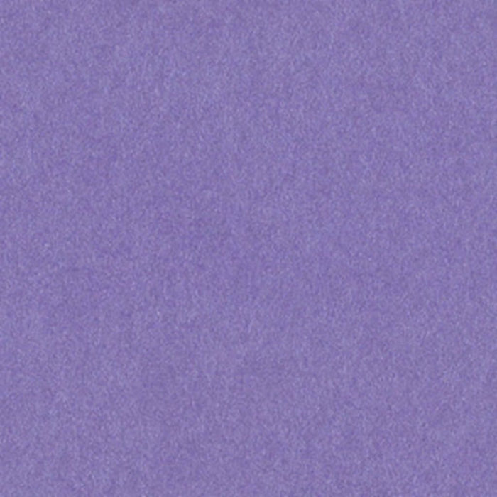 Cardstock 12in x 12in Metallic Emperor