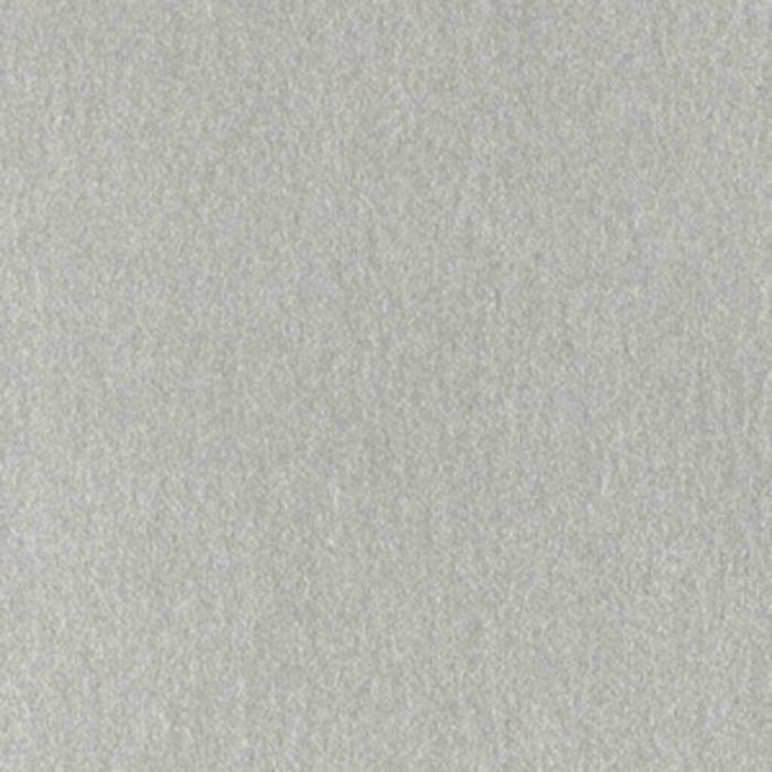 Cardstock 12in x 12in Metallic Platinum