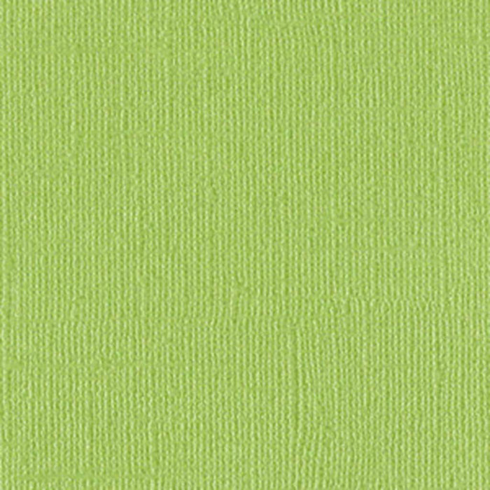Cardstock 12in x 12in Petty Cash Bling | Bazzill Paper Cardstock