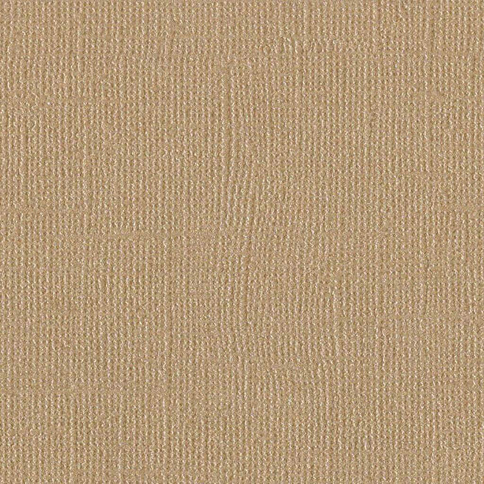Cardstock 12in x 12in Blank Check | Premium Scrapbooking & Craft Paper
