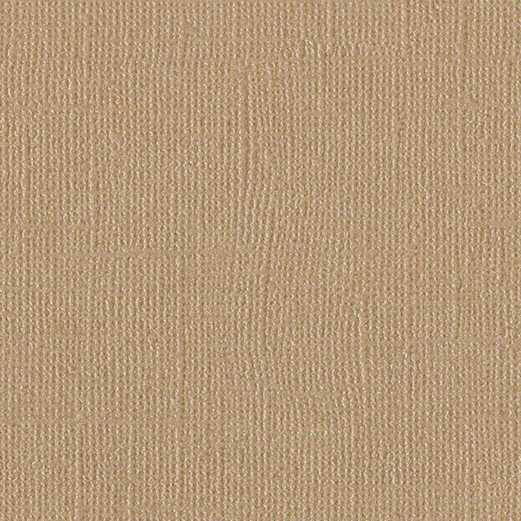 Cardstock 12in x 12in Blank Check