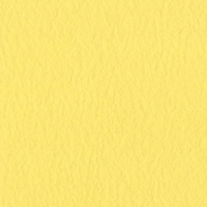 Cardstock 12in x 12in Frosted Yellow