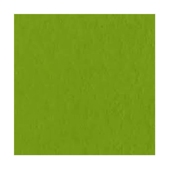 Bazzill Fourz Cardstock Paper Intense Kiwi 12in x 12in