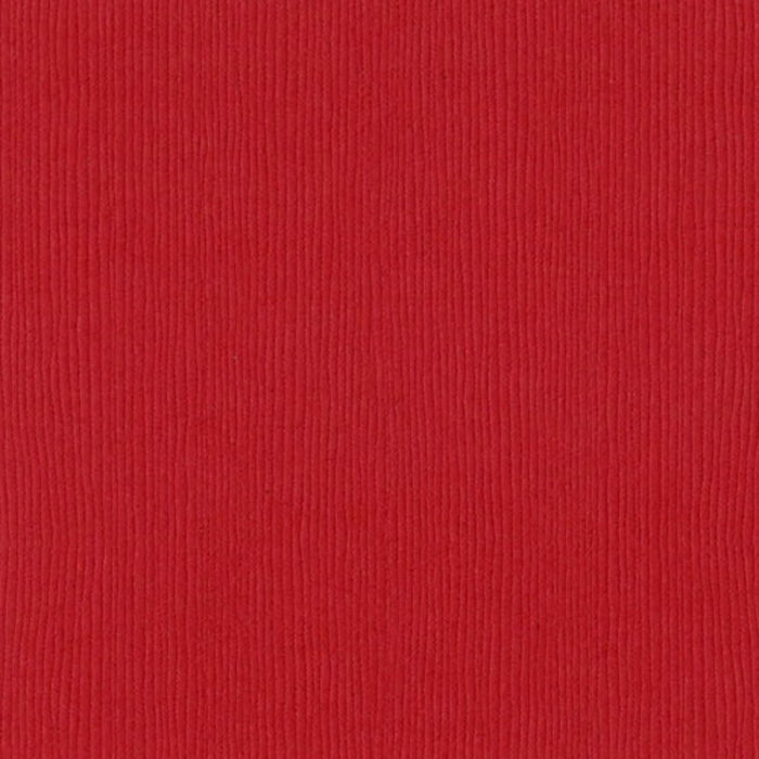 Cardstock 12in x 12in Fire Heart