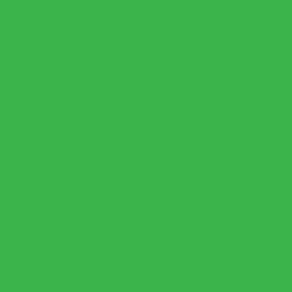 Foamies Foam Sheet Light Green 3mm thick 12 x 18 inches 