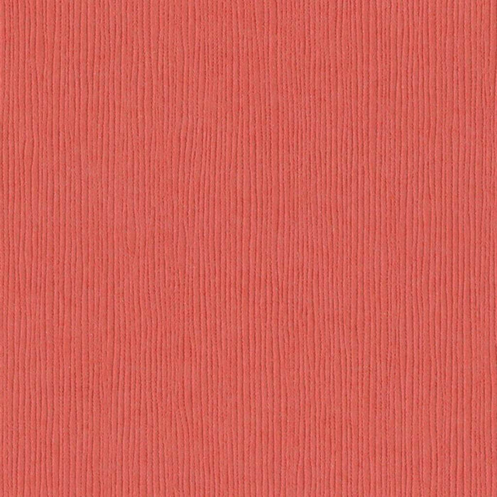 Bazzill Fourz Cardstock Paper Arroyo12in x 12in