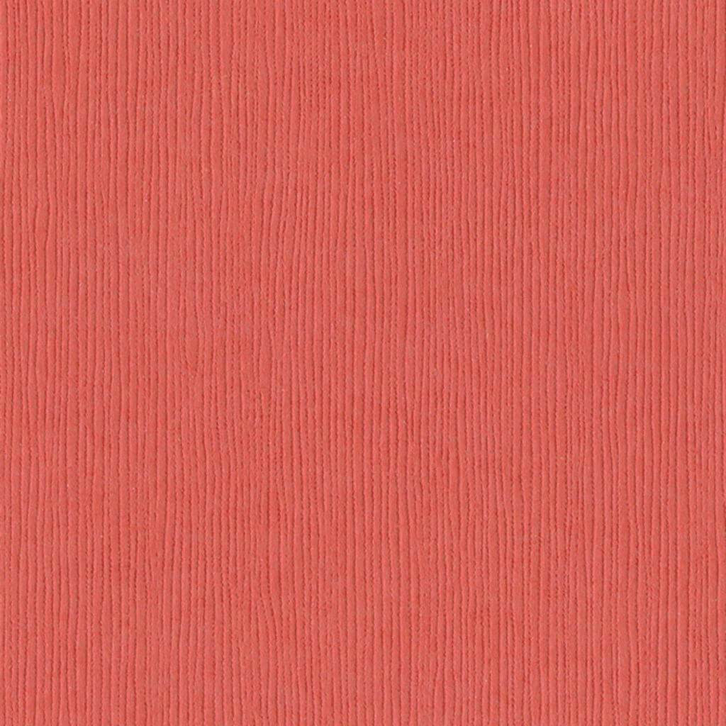 Cardstock 12in x 12in Arroyo