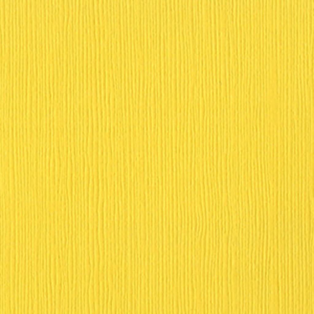 CARDSTOCK GRASS CLOTH TEXTURE 12IN X 12IN