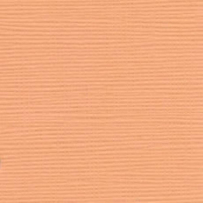 CARDSTOCK BURLAP TEXTURE 12IN X 12IN 