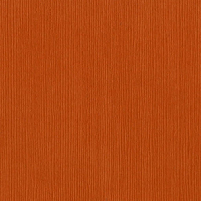 Bazzill Basics Navel Textured Cardstock 12in x 12in