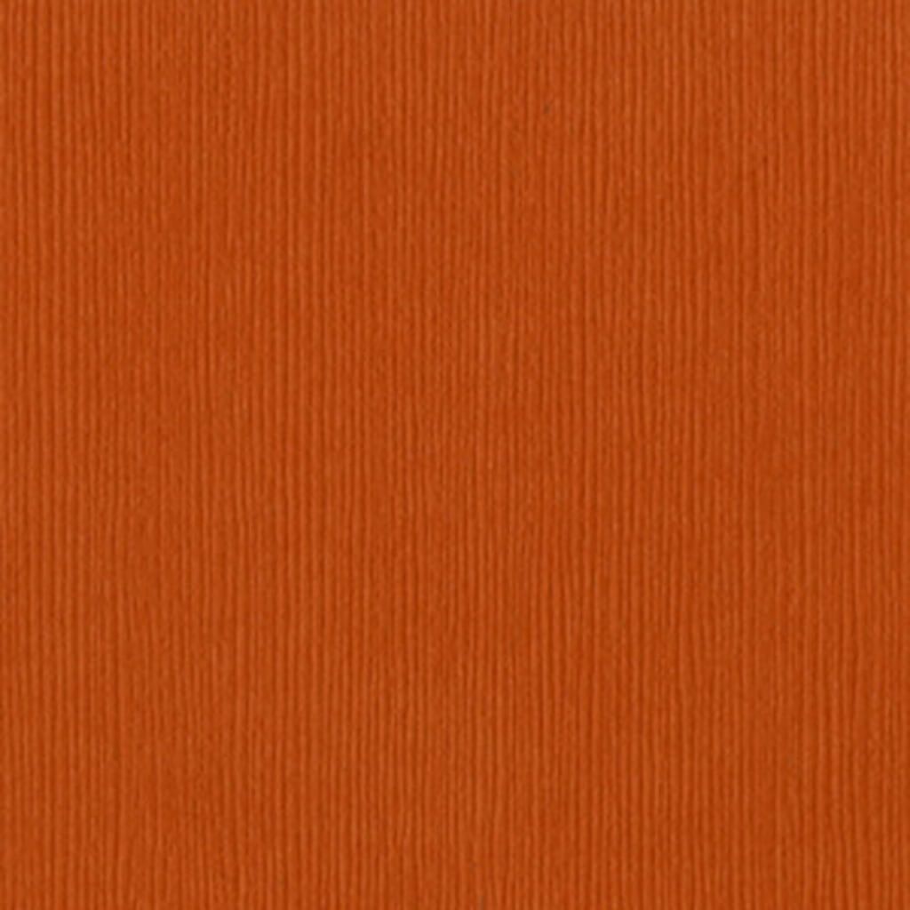 Cardstock 12in x 12in Navel