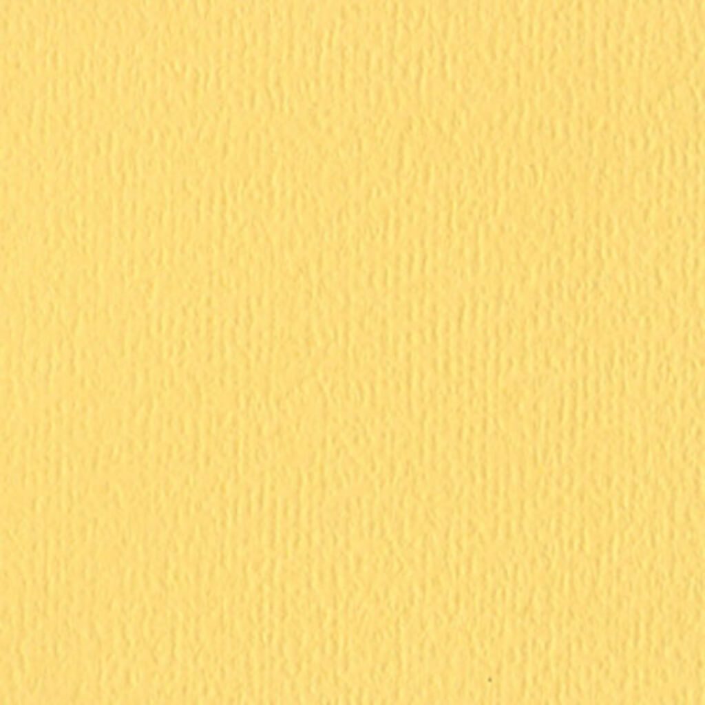 Cardstock 12in x 12in Daisy