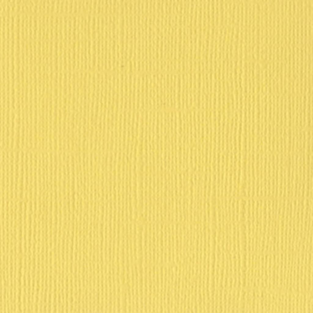 CARDSTOCK CANVAS TEXTURE 12IN X 12IN