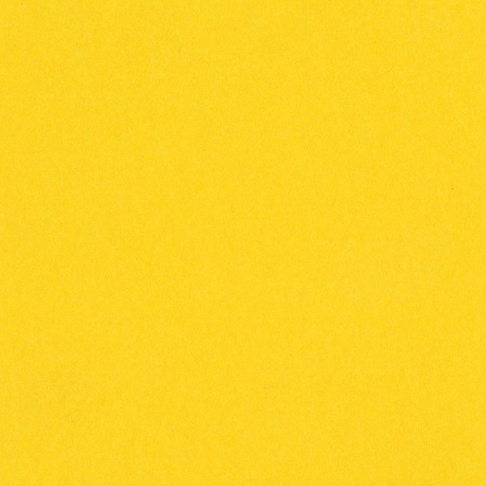Bazzill Cardstock Smoothies 12in x 12in- Grapefruit Bliss