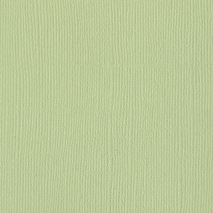 Bazzill Mono Aloe Vera 12x12 Canvas Texture Cardstock