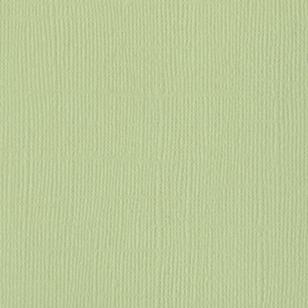 Cardstock 12in x 12in Aloe Vera