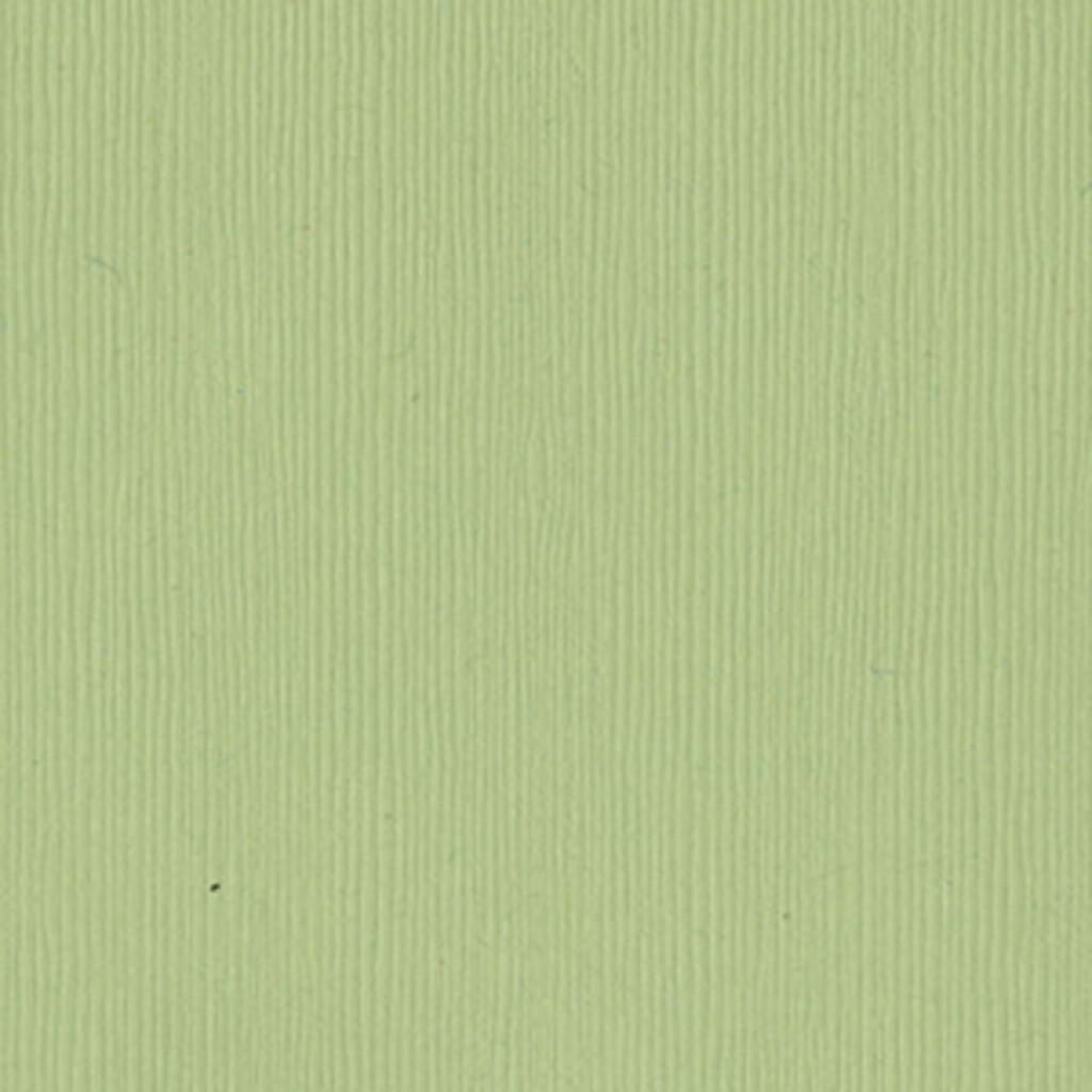 CARDSTOCK GRASS CLOTH TEXTURE 12IN X 12IN