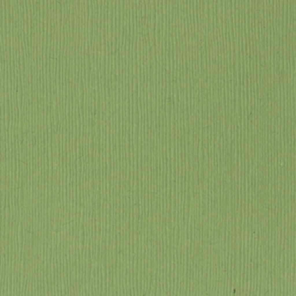 Cardstock 12in x 12in Lily Pond