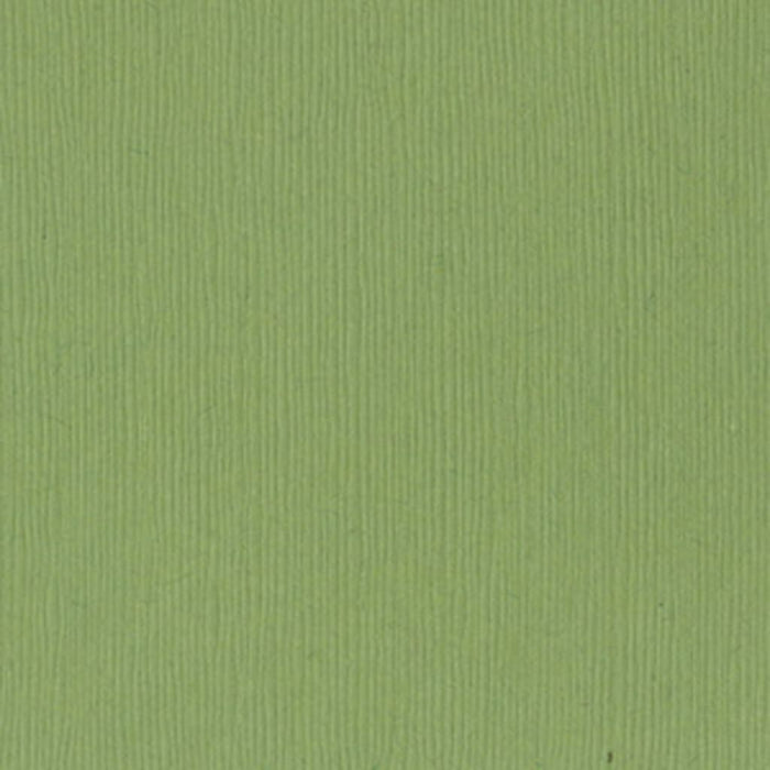 Bazzill Fourz Cardstock Grasscloth 12in x 12in- Lily Pond