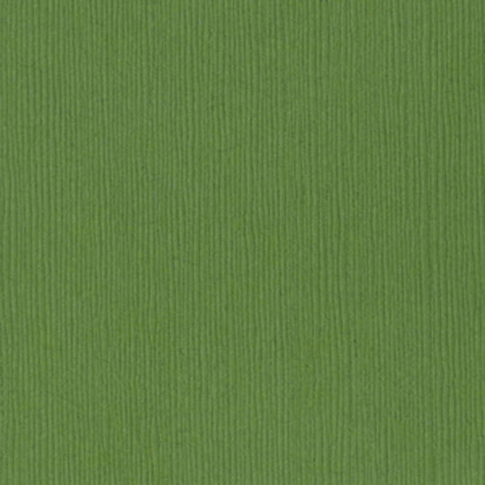 Bazzill Fourz Cardstock Paper Guacamole 12in x 12in