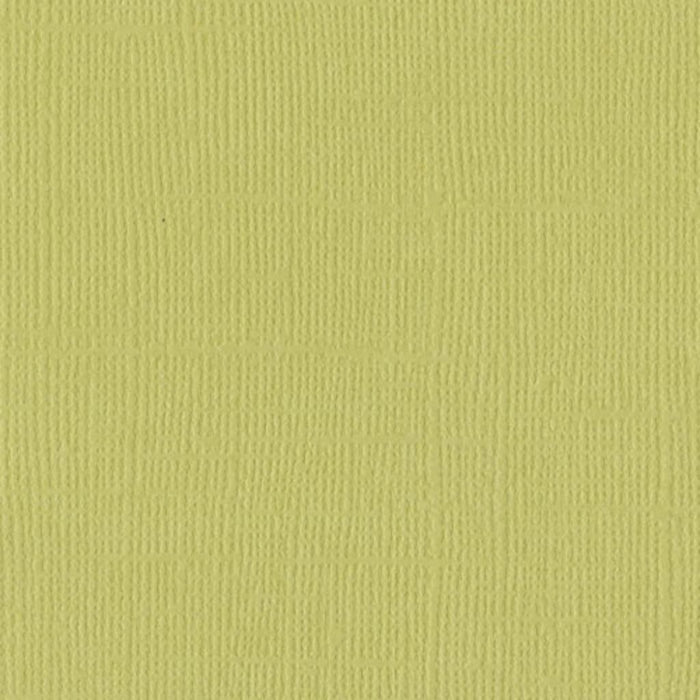 Cardstock 12in x 12in Palm