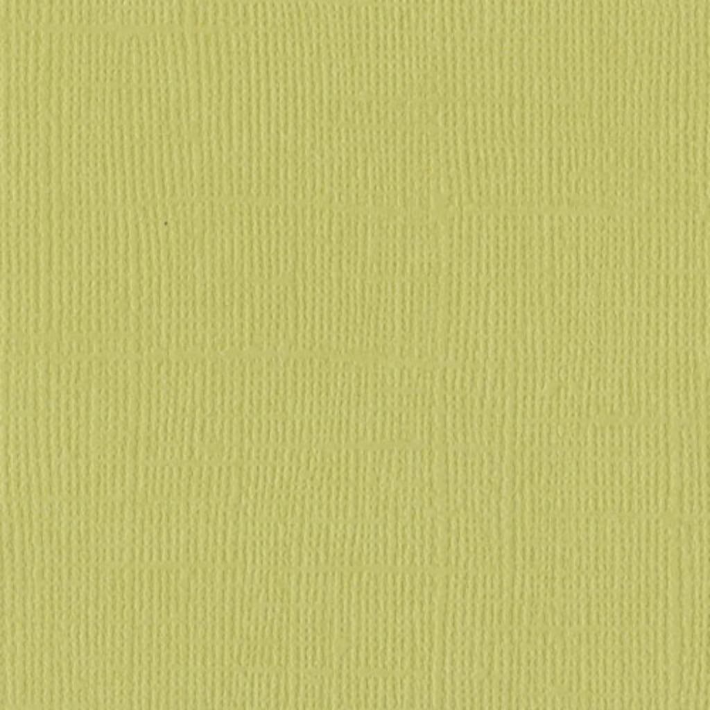 Cardstock 12in x 12in Palm