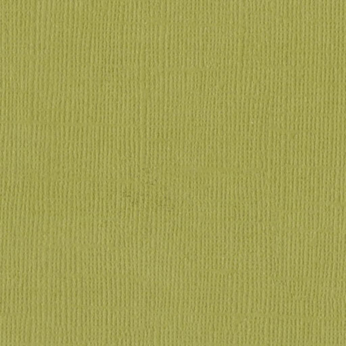 Cardstock 12in x 12in Lizard