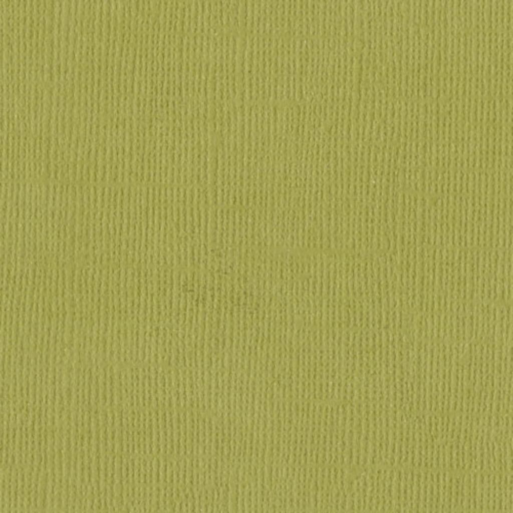 Cardstock 12in x 12in Lizard