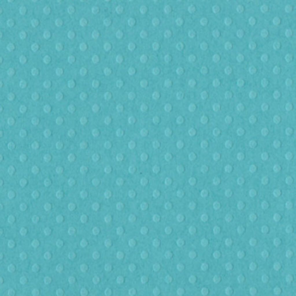 CARDSTOCK DOTTED SWISS TEXTURE 12IN X 12IN