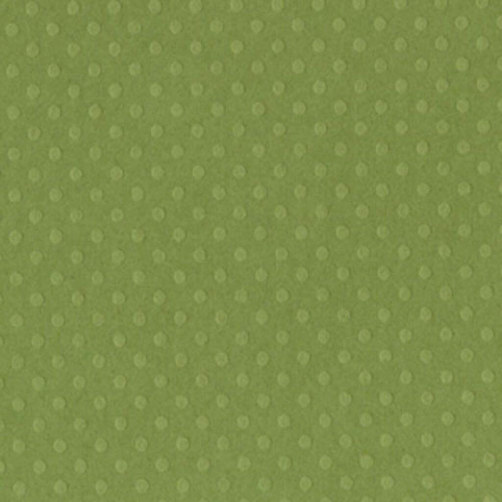 Cardstock Dotted Swiss 12in x 12in Irish Eyes