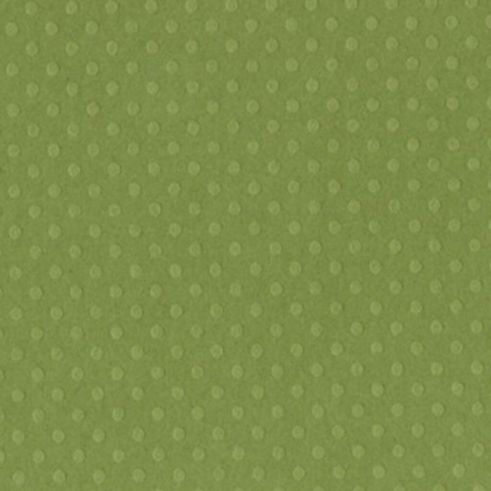 Dotted Swiss Textured Cardstock Paper Irish Eyes 12in x 12in