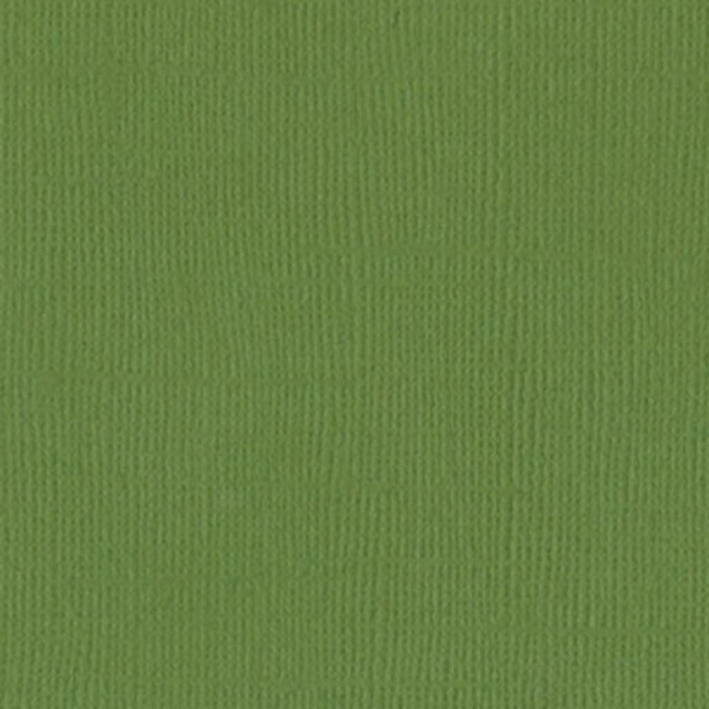 Cardstock 12in x 12in Leap Frog