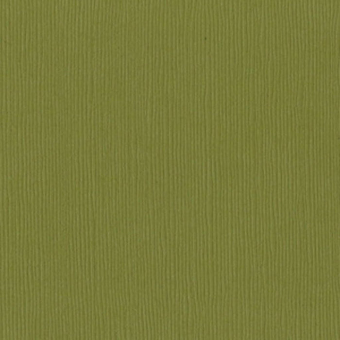 Cardstock 12in x 12in Safari