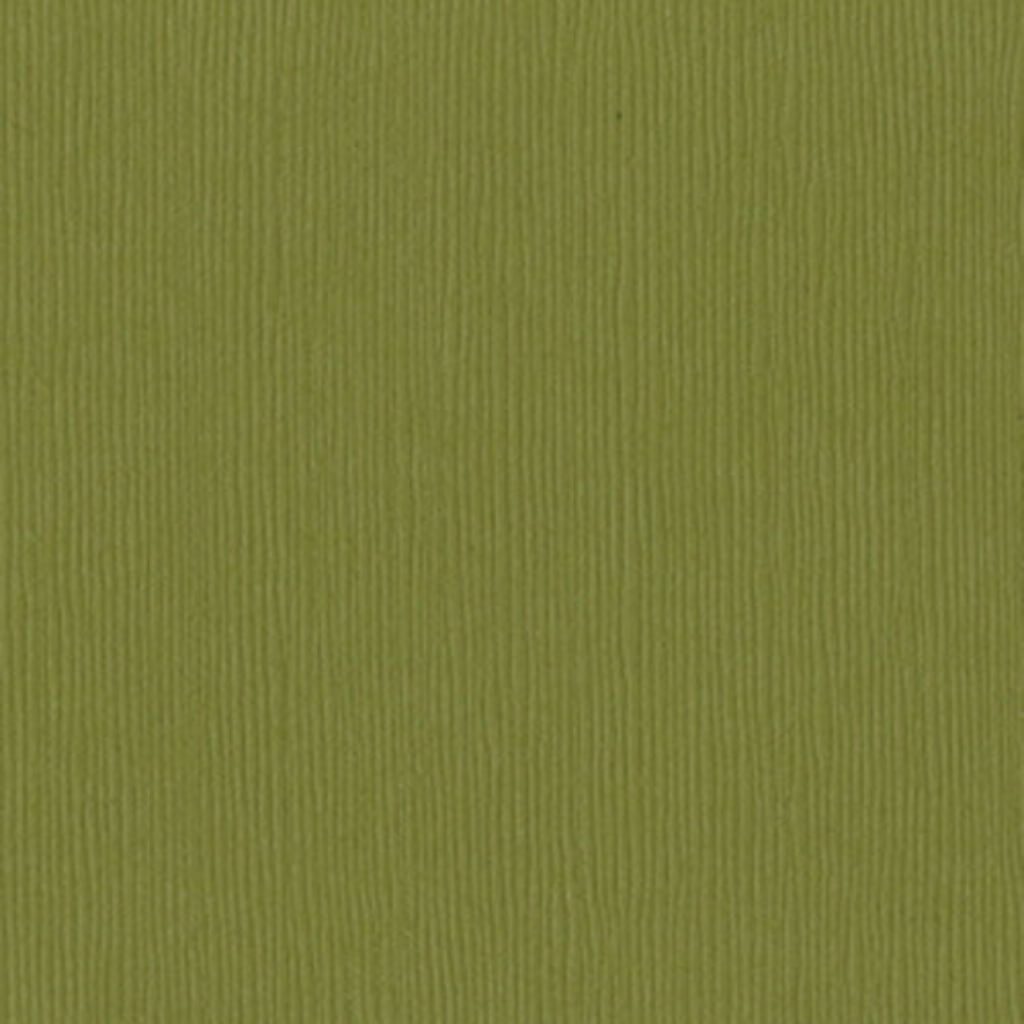 Cardstock 12in x 12in Safari