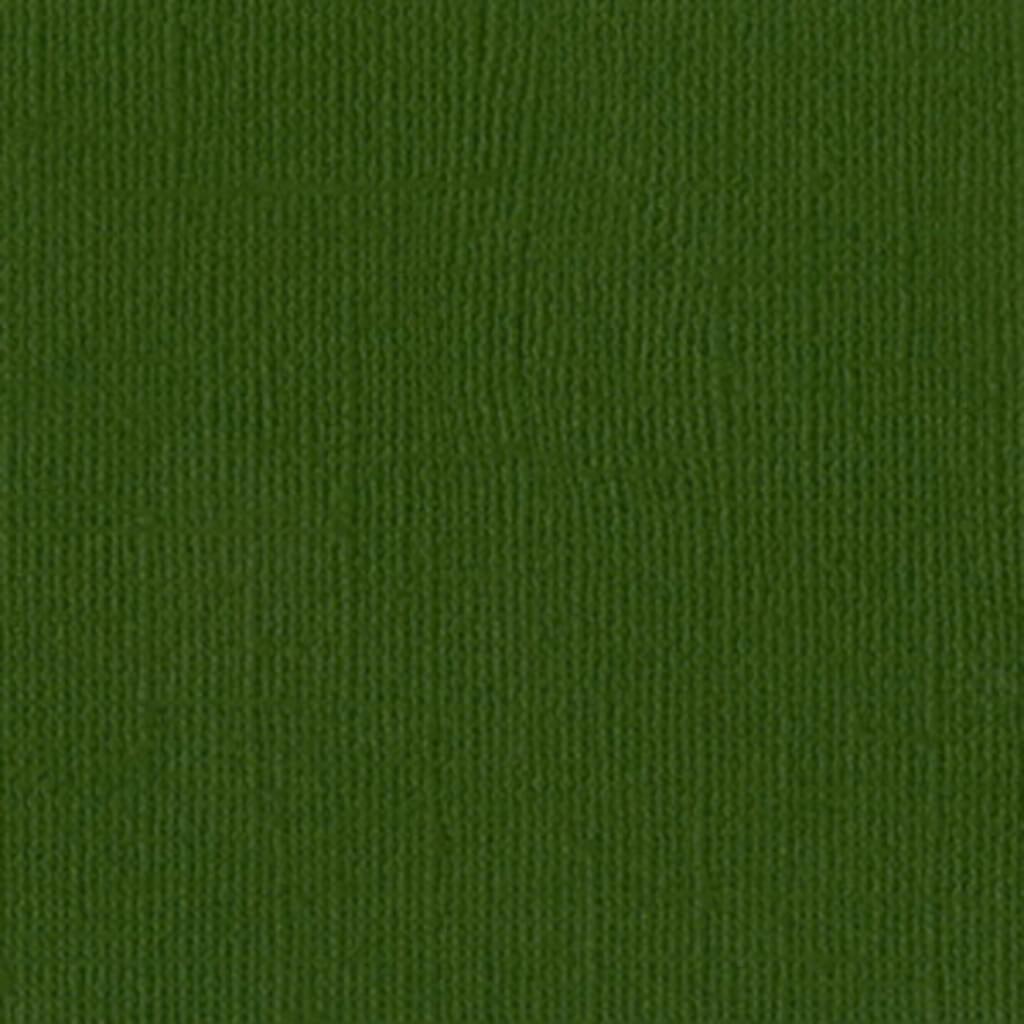 CARDSTOCK CANVAS TEXTURE 12IN X 12IN
