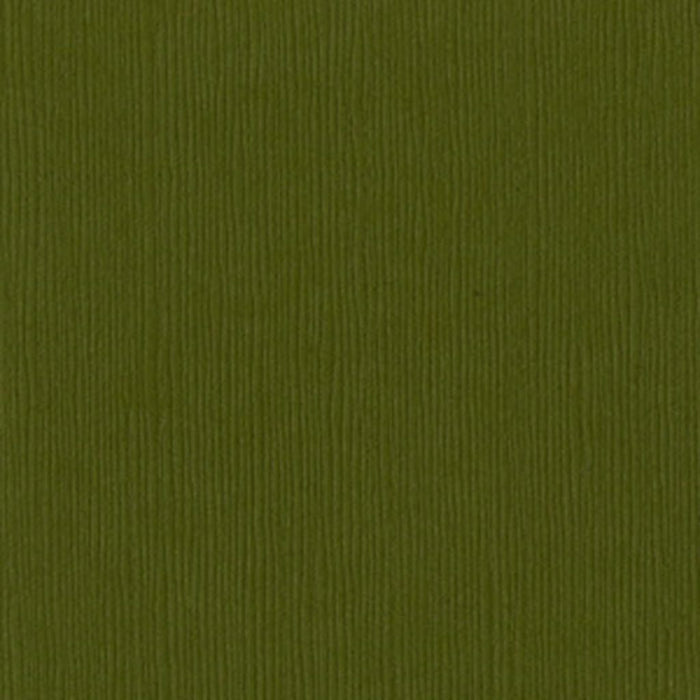 Bazzill Basics Palo Verde Textured Cardstock 12in x 12in