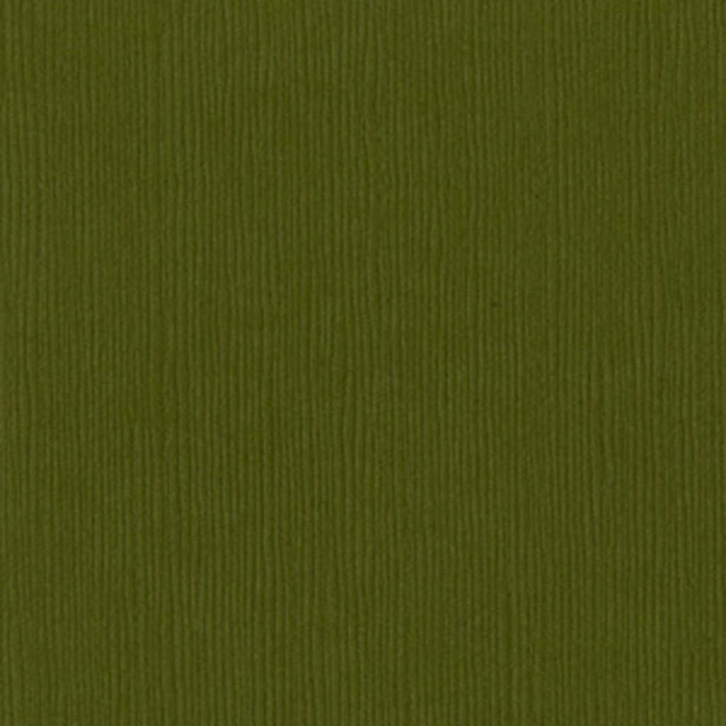 Cardstock 12in x 12in Palo Verde