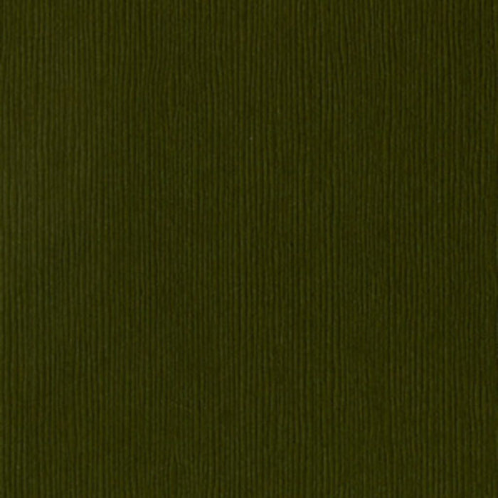 Bazzill Fourz Capers Grasscloth 12x12 Cardstock | Textured Paper
