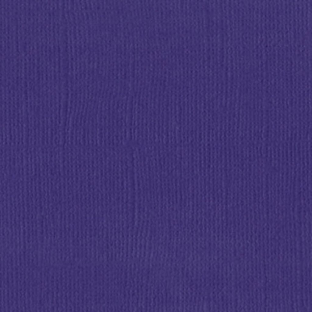 Cardstock 12in x 12in Purple