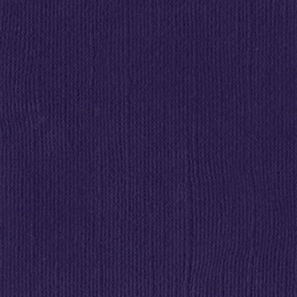 Cardstock 12in x 12in Pancy