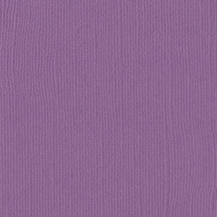 Bazzill Basics 12in x 12in Cardstock Canvas Texture Mono- Heidi