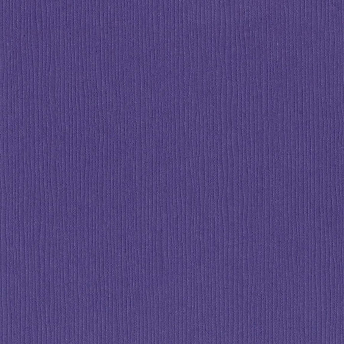 Purple Pizzazz Cardstock 12in x 12in 