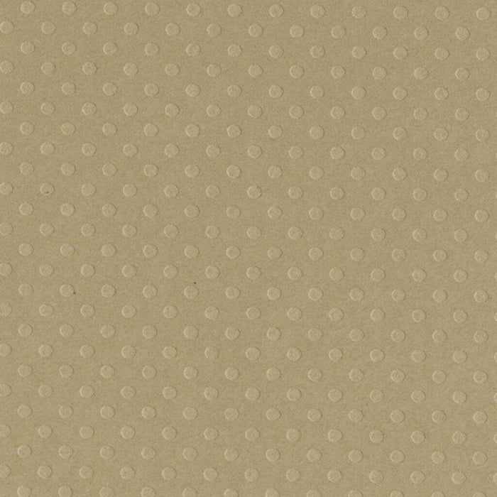 Bazzill Dotted Swiss 12in x12in Cardstock | Textured Paper