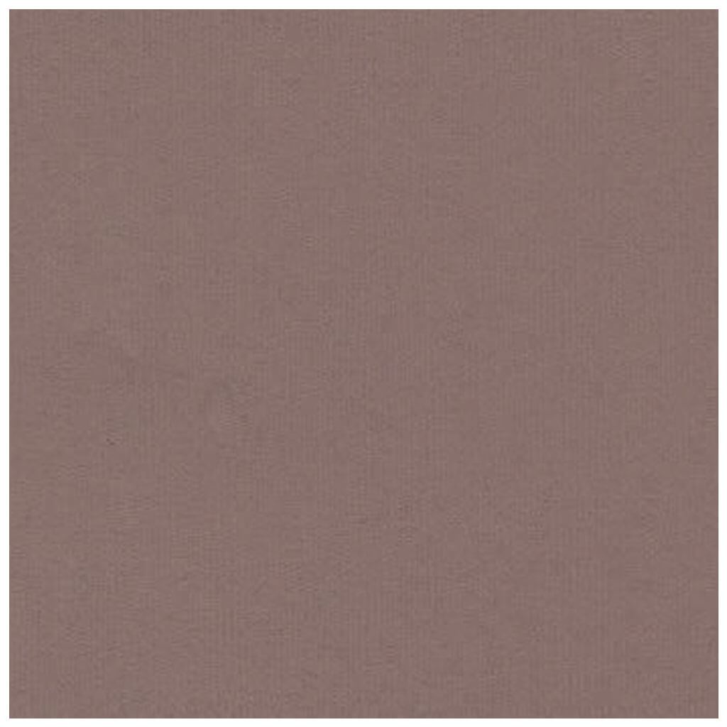 Cardstock 12in x 12in Whipped Mouse