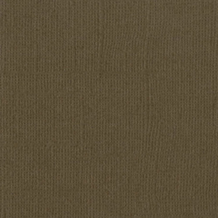 Bazzill Basics 12in x 12in Cardstock Canvas Texture Mono- Bark