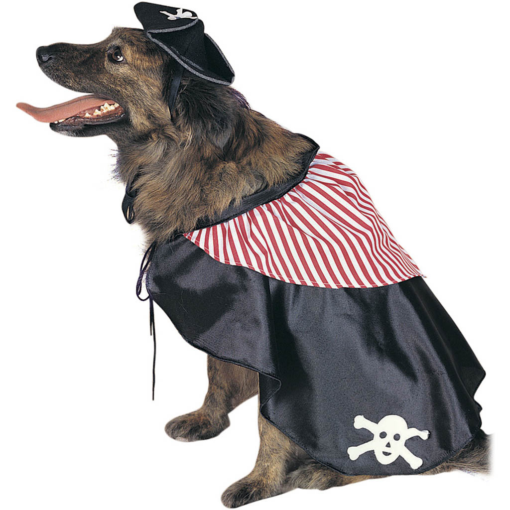 Dog Pirate Costume