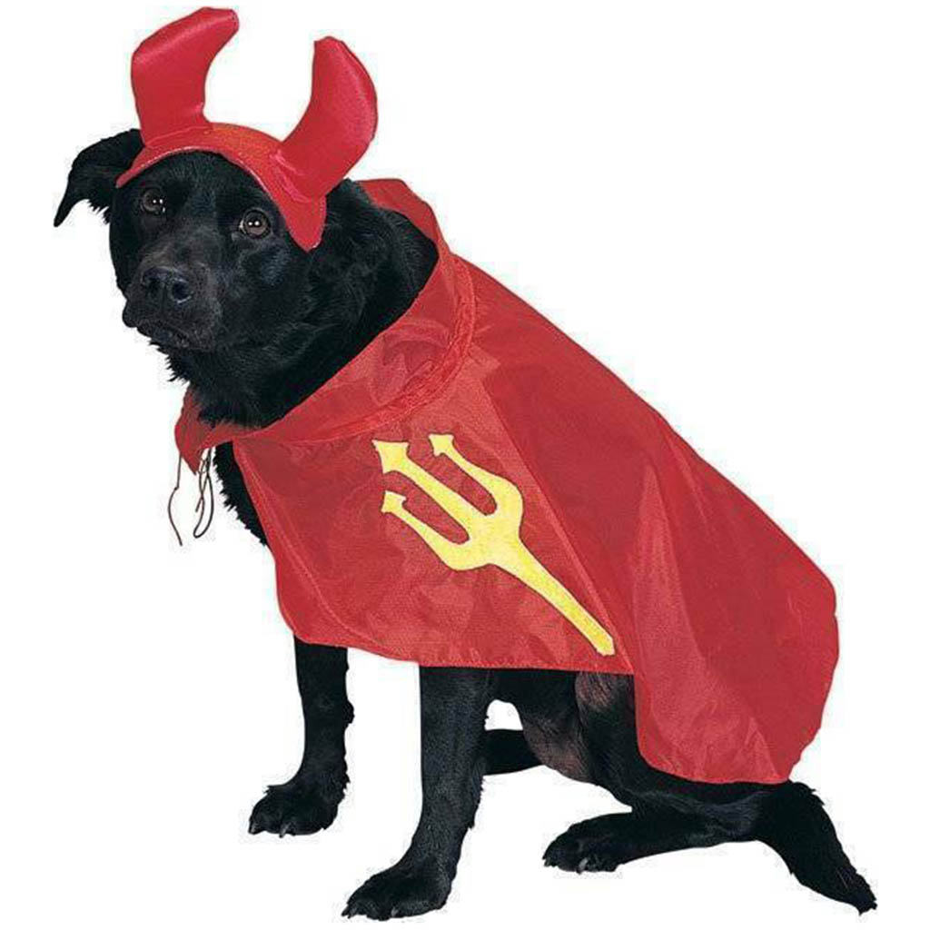 Devil Pet Costume