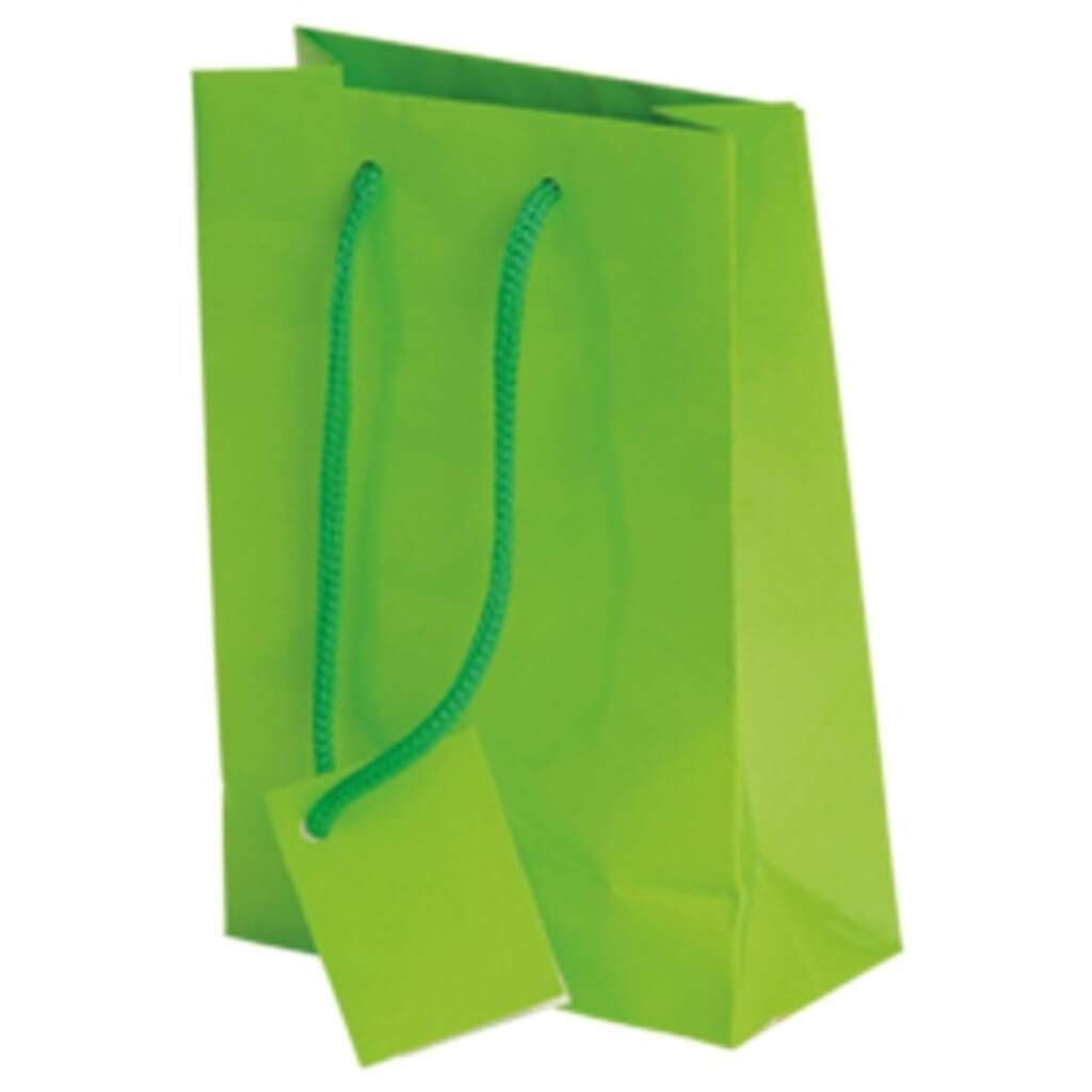 GIFT BAG SMALL LIGHT GREEN 