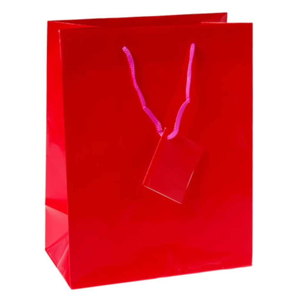 GIFT BAG - MEDIUM MAGENTA 